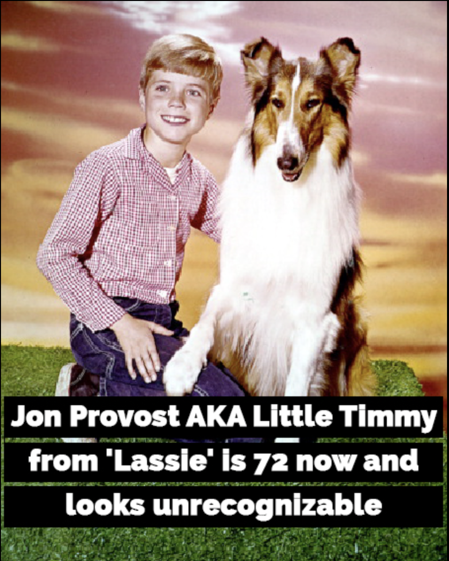 Lassie’s little Timmy reveals the secrets of TV’s most famous dog