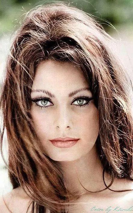 Sophia Loren was the ultimate Hollywood movie star, synonymous with beauty and a glamorous lifestyle.