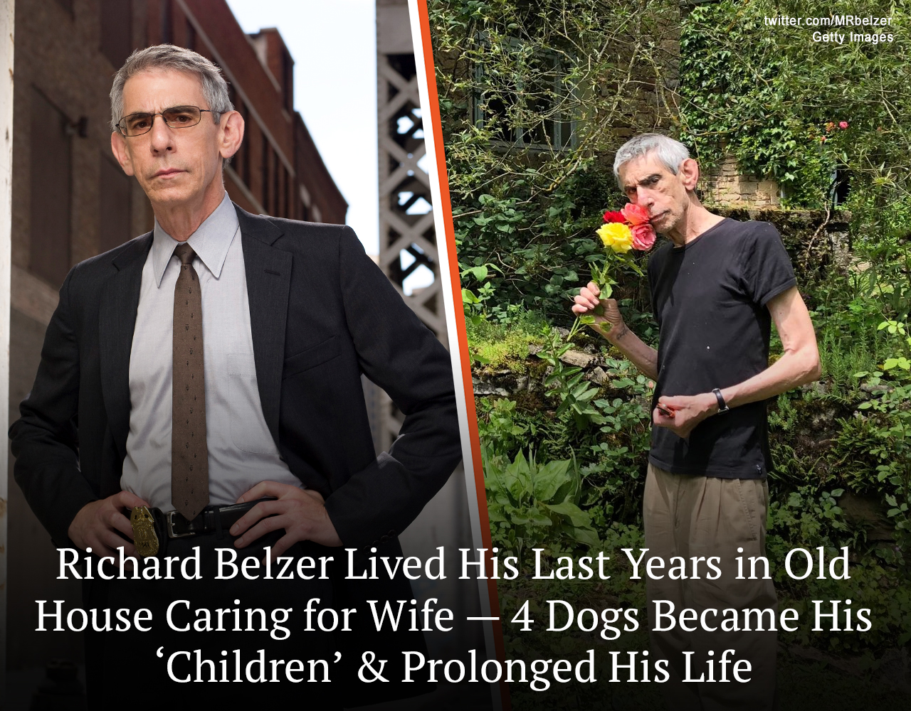 Richard Belzer left “Law & Order” and Hollywood for a quiet life in the French countryside. He lived with his wife, Harlee McBride, and their four dogs in a beautiful home surrounded by nature. According to the actor, his dogs prolonged his life.