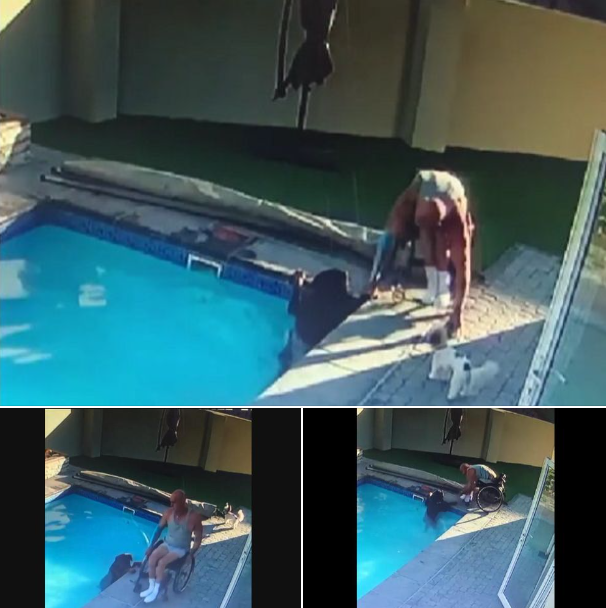 Man In Wheelchair Saves Panicking 110-Pound Rottweiler Who Can’t Get Out Of Pool