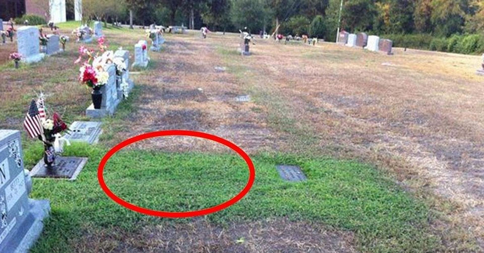 Mom notices son’s grave plot is greener – finds out mystery man has been helping