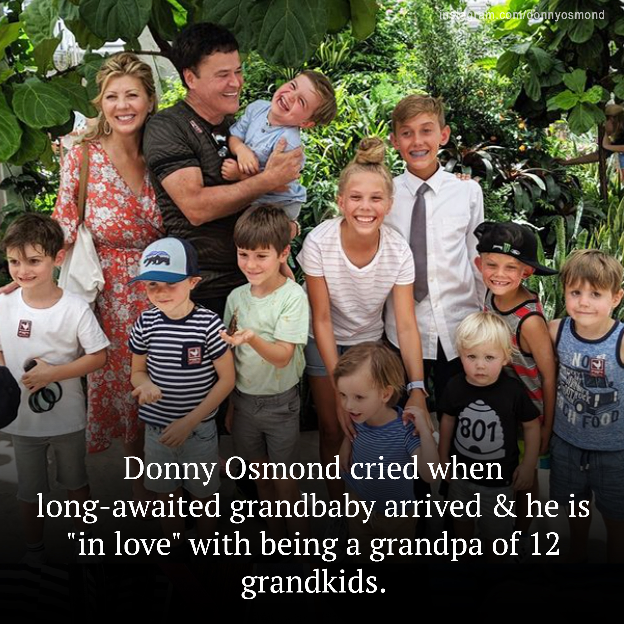 Donny Osmond Is ‘in Love’ with Being a Grandpa of 12 Grandkids — He Cried When Long-Awaited Grandbaby Arrived